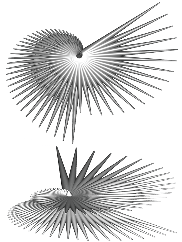 GC_spiral cylinders_root_leaves